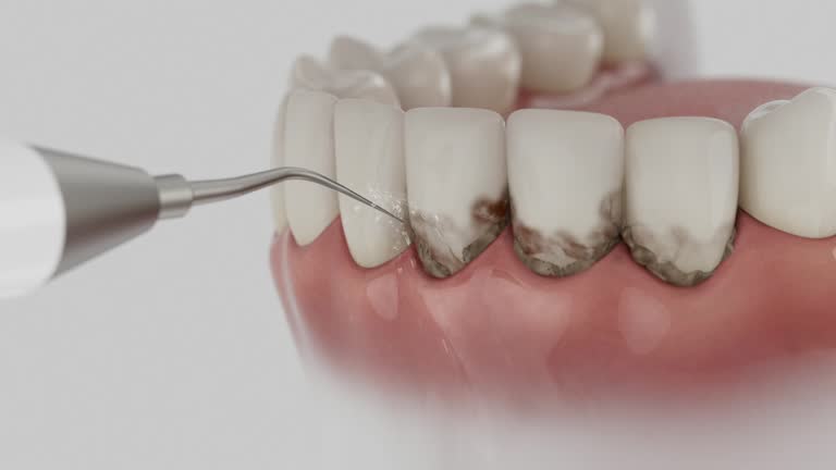 Reliable Dental contractor in Crofton, MD by Dentist Open Now